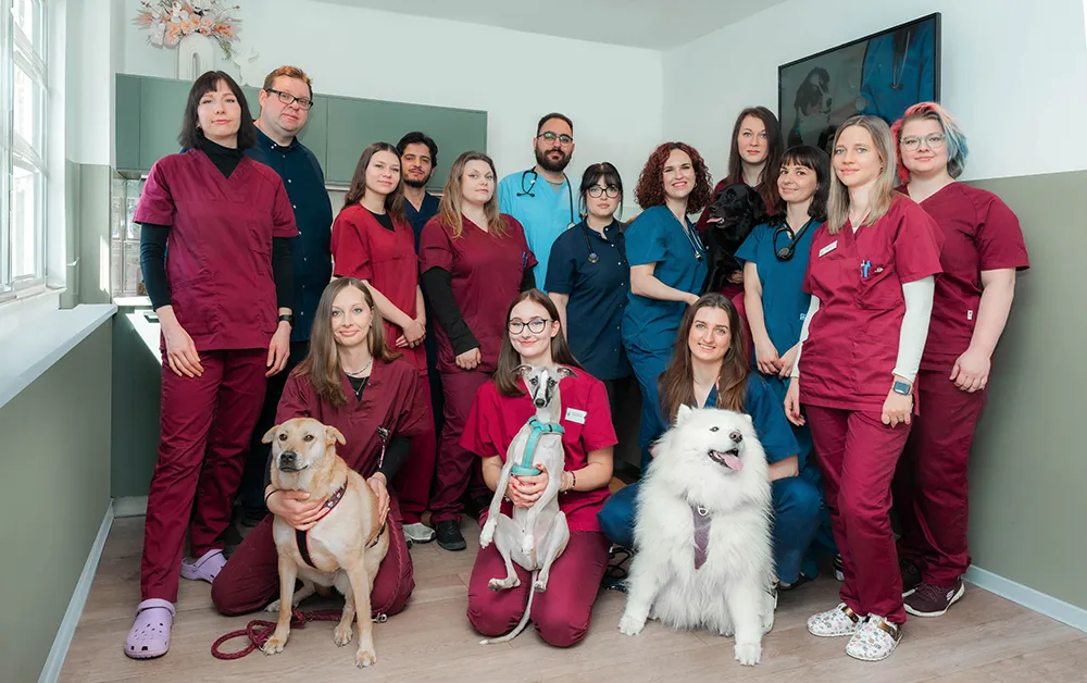 Das Team von Bello&Co